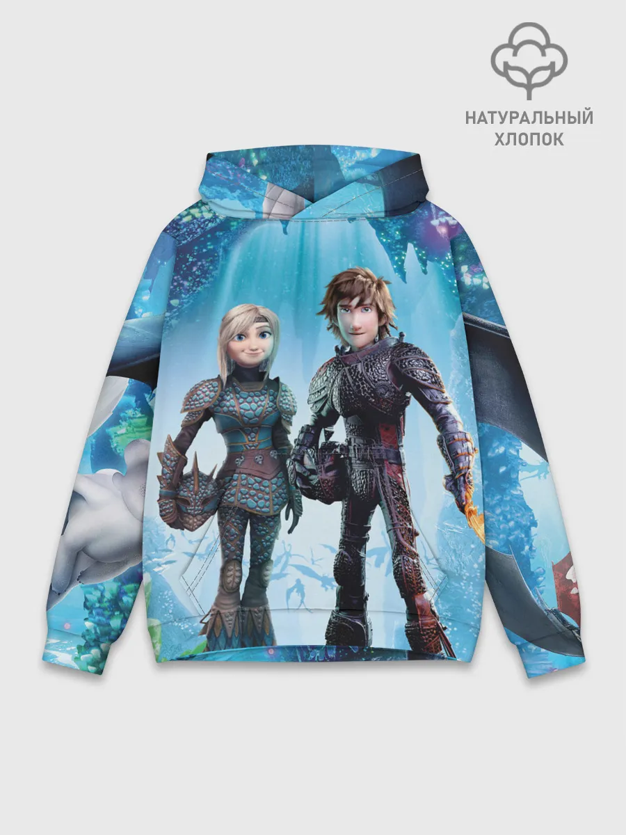 Худи мужской база хлопок / Как приручить дракона 3