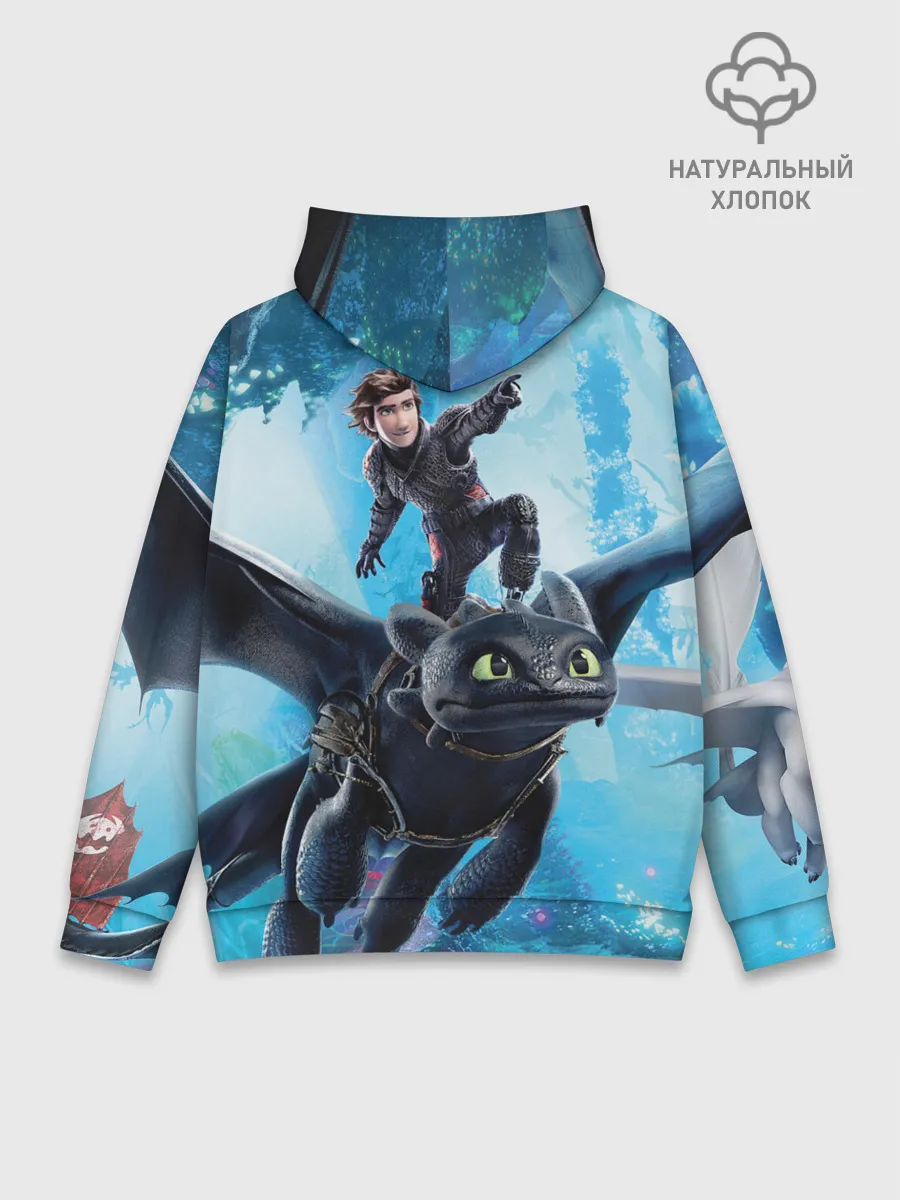 Худи мужской база хлопок / Как приручить дракона 3