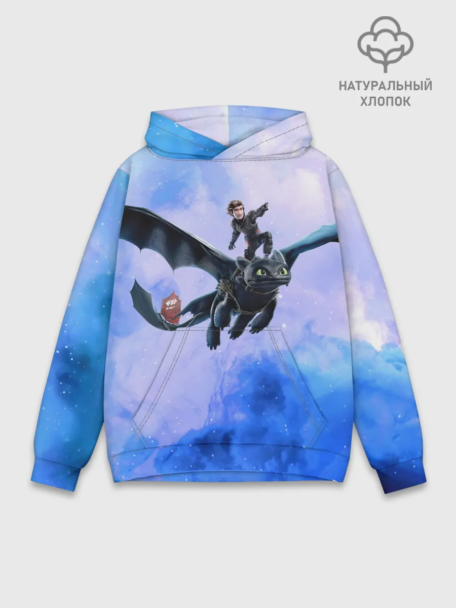 Худи мужской база хлопок / Night Fury