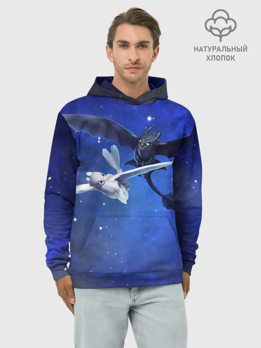 Худи мужской база хлопок / Night Fury