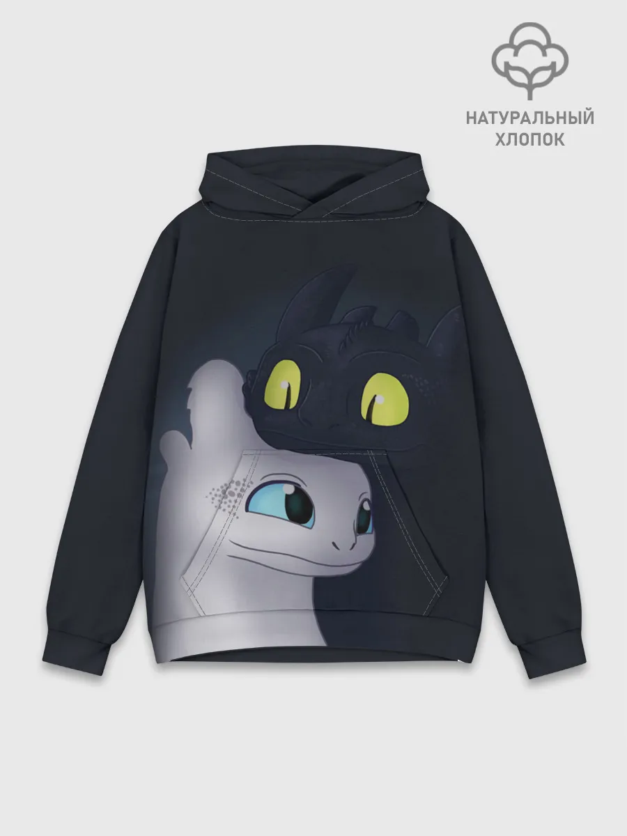 Худи мужской база хлопок / Как приручить дракона