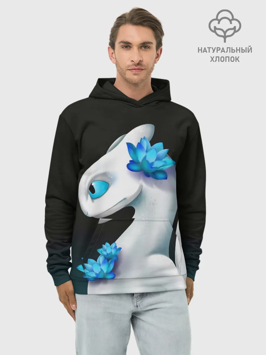 Худи мужской база хлопок / Как приручить дракона