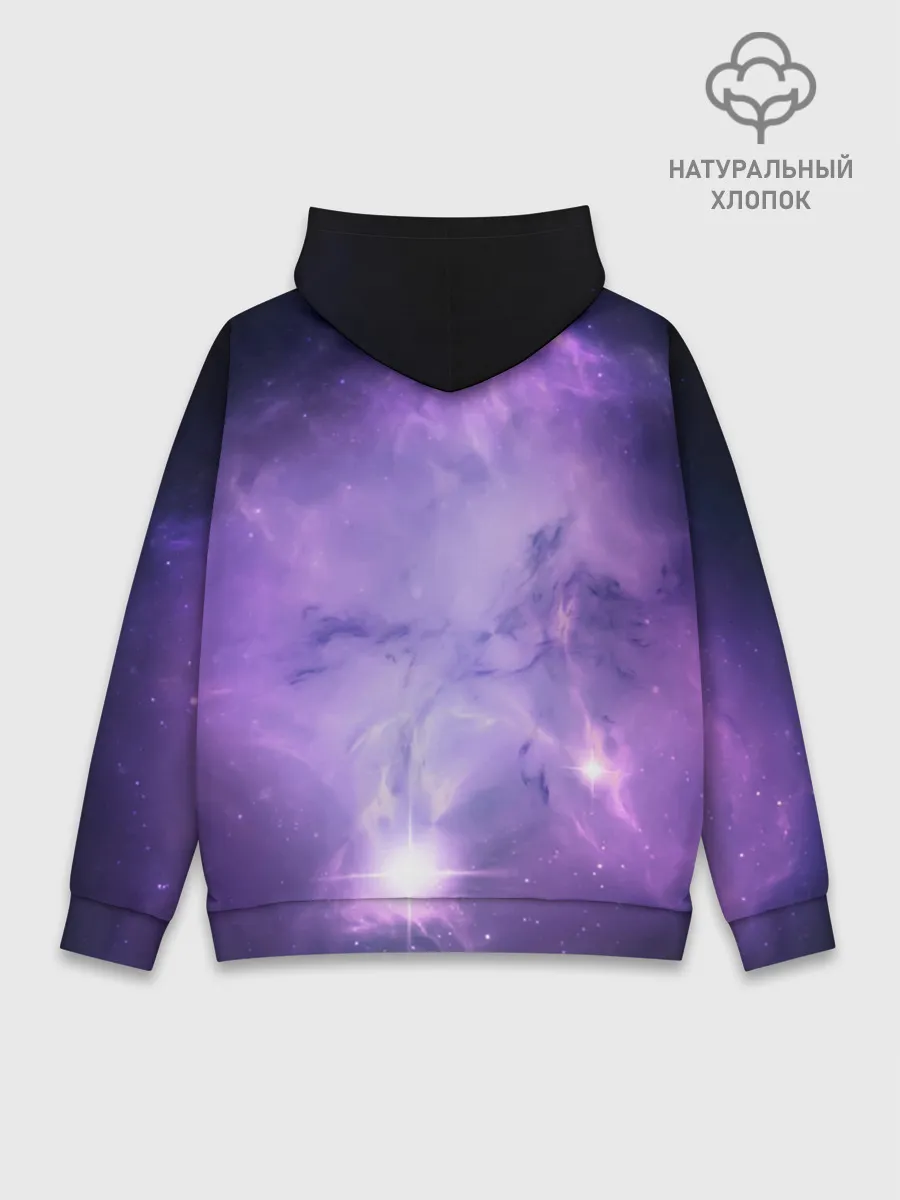 Худи мужской база хлопок / дневная фурия