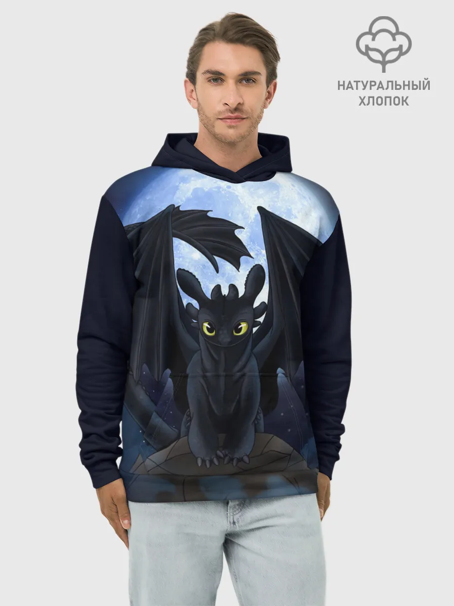 Худи мужской база хлопок / ночная фурия