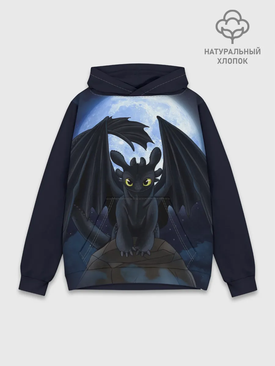 Худи мужской база хлопок / ночная фурия
