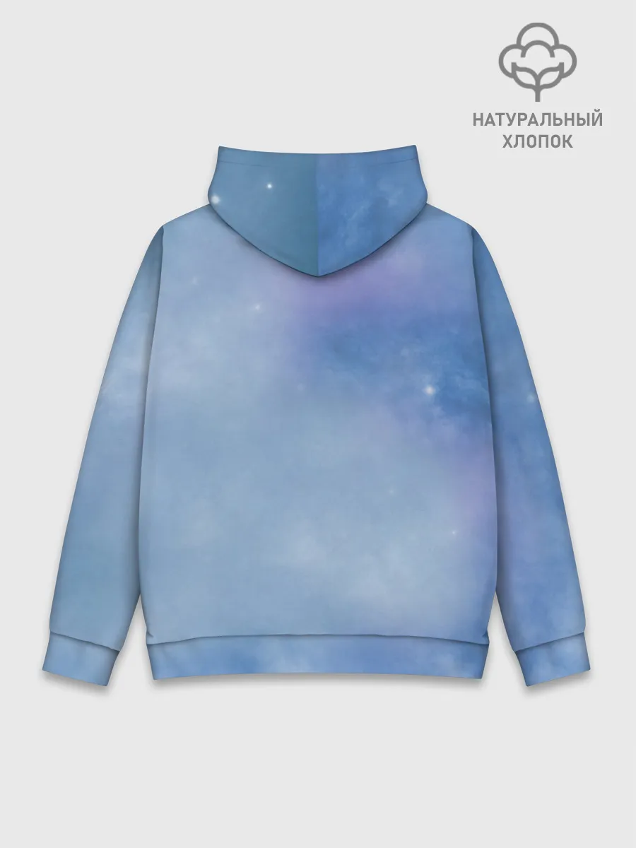 Худи мужской база хлопок / дневная фурия