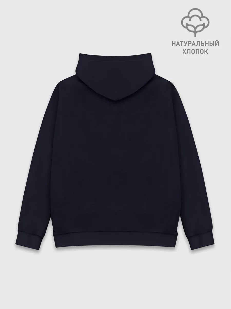 Худи мужской база хлопок / ночная фурия