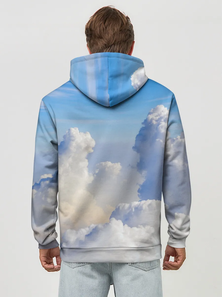 Худи мужской база хлопок / Night Fury