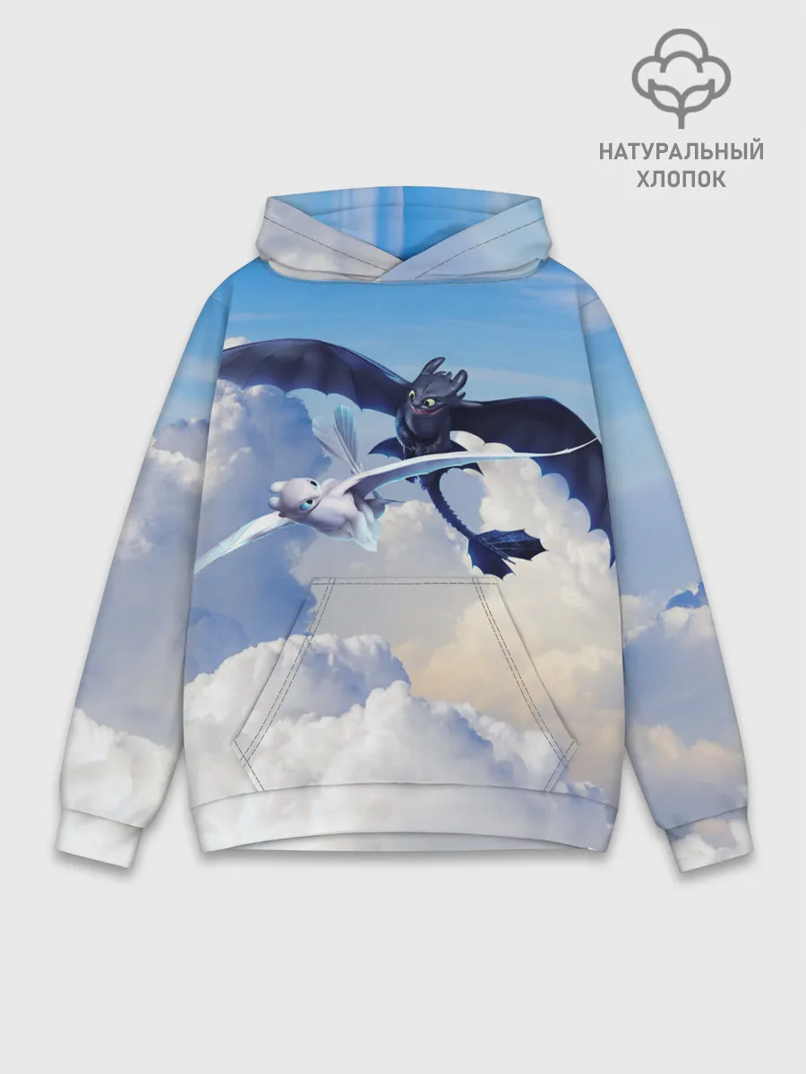 Худи мужской база хлопок / Night Fury