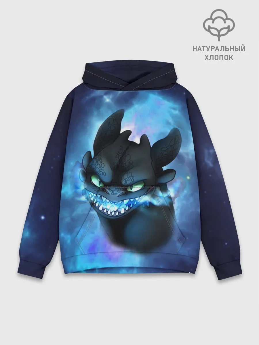 Худи мужской база хлопок / Night Fury