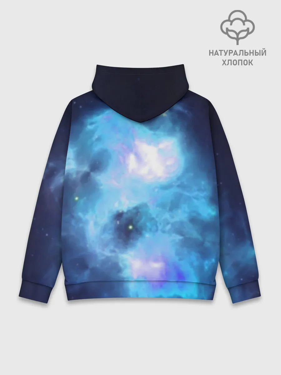 Худи мужской база хлопок / Night Fury