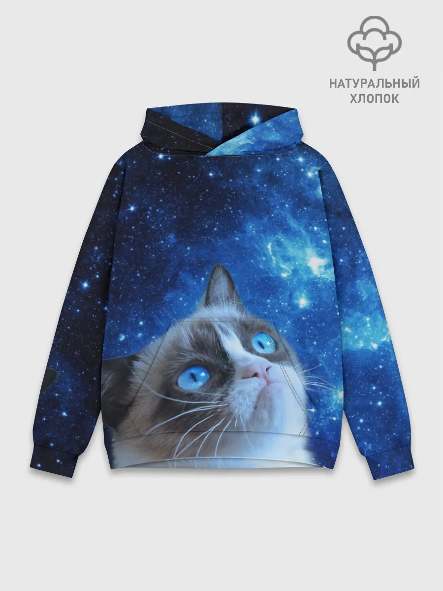 Худи мужской база хлопок / Сердитый кот в космосе