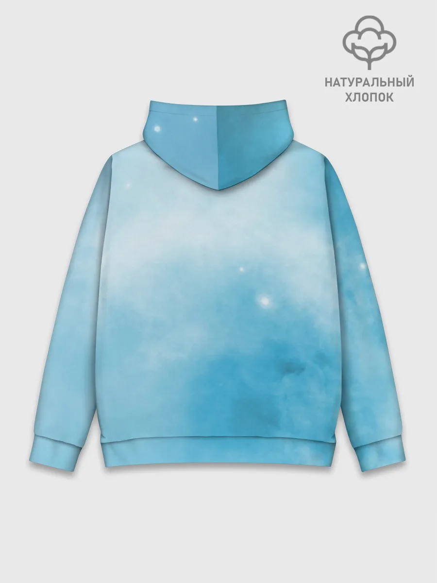 Худи мужской база хлопок / ночная фурия