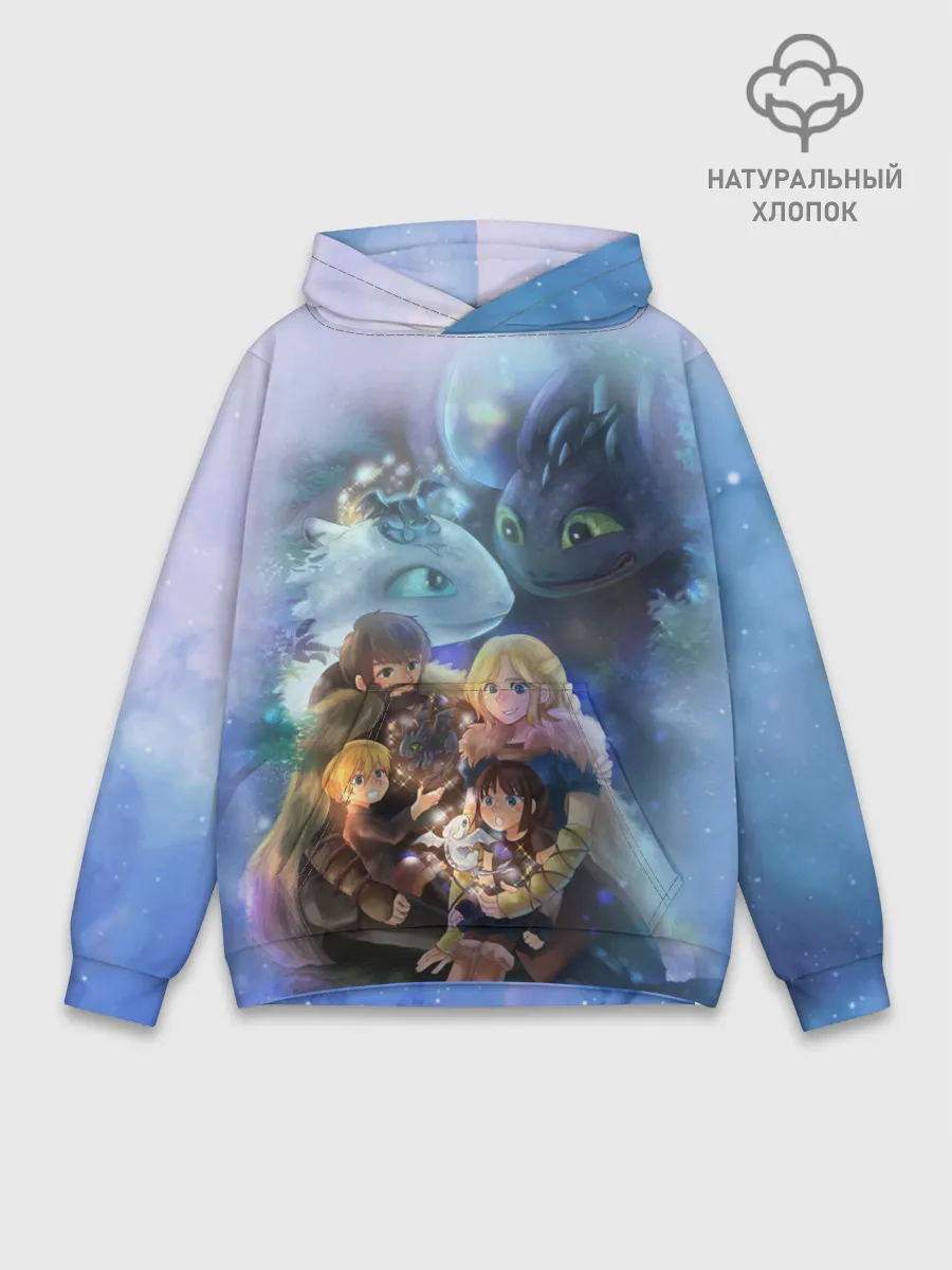 Худи мужской база хлопок / ночная фурия