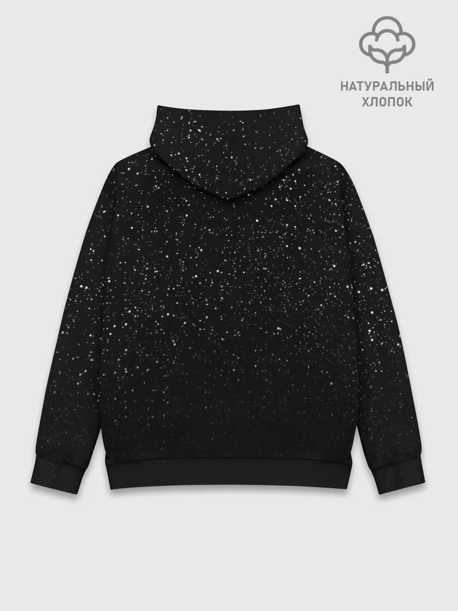 Худи мужской база хлопок / DESTINY