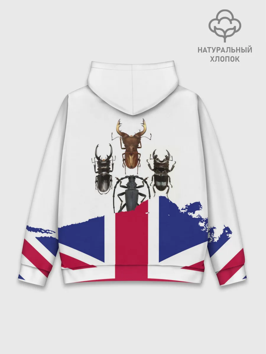 Худи мужской база хлопок / Жуки