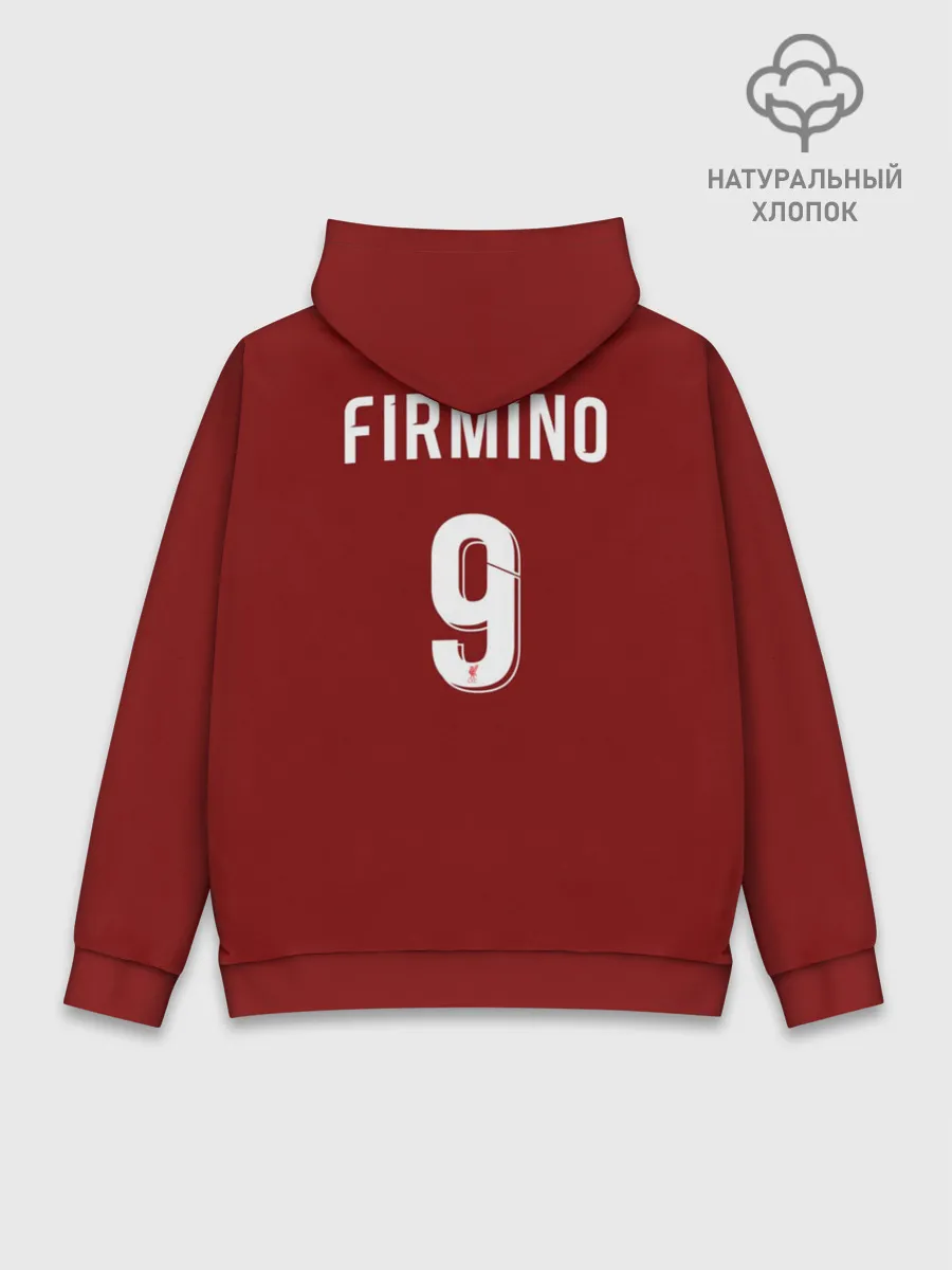 Худи мужской база хлопок / Фирмино 19-20 home