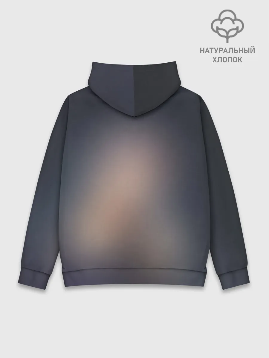 Худи мужской база хлопок / Hair
