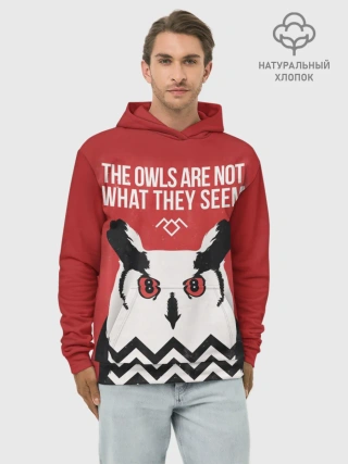 Худи мужской база хлопок / Twin Peaks