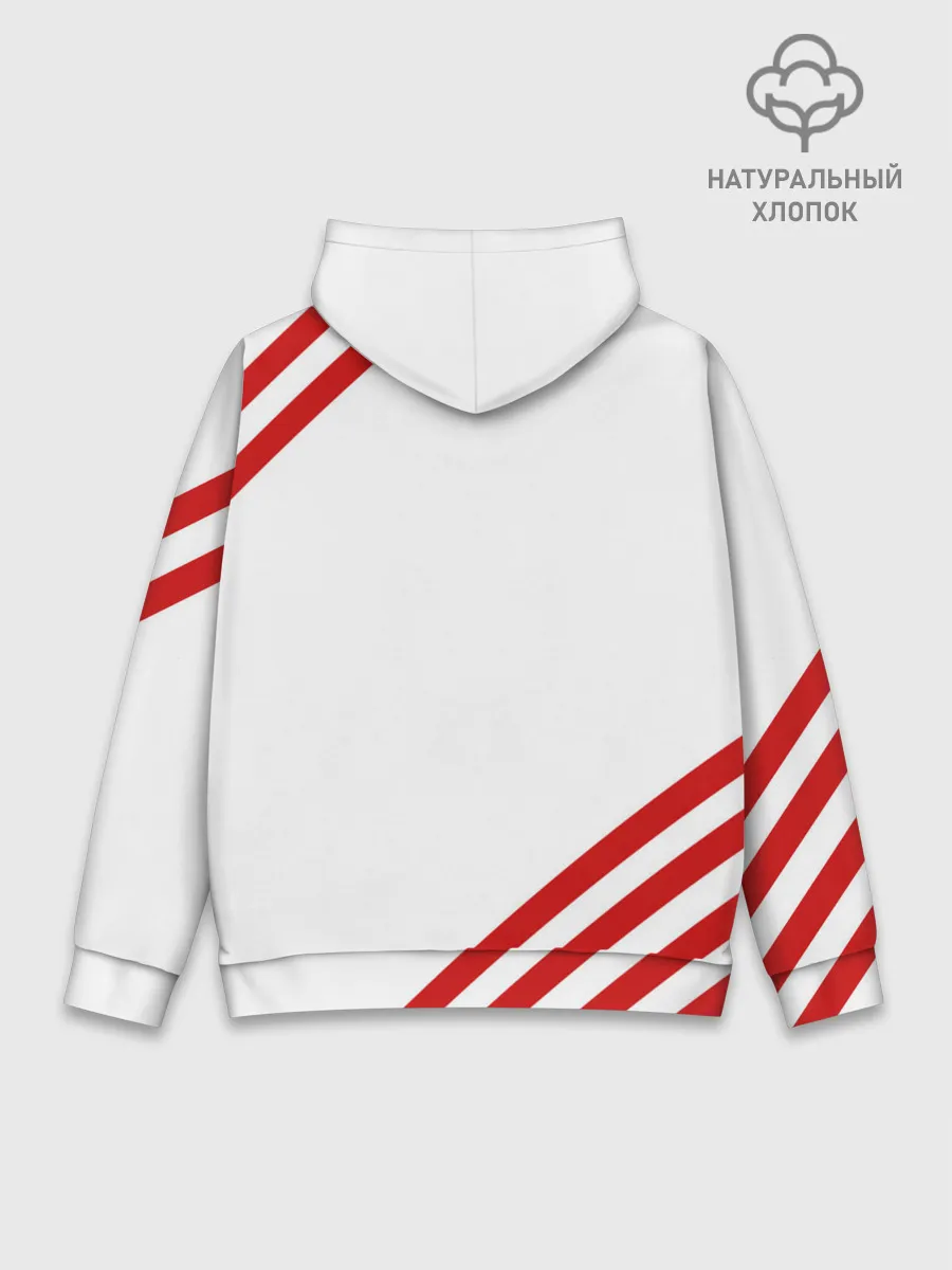 Худи мужской база хлопок / NASA