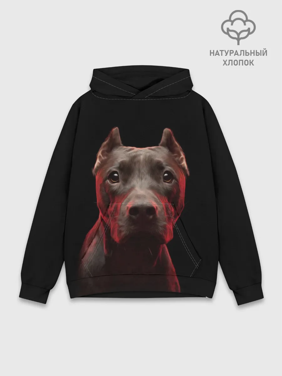 Худи мужской база хлопок / Стафф