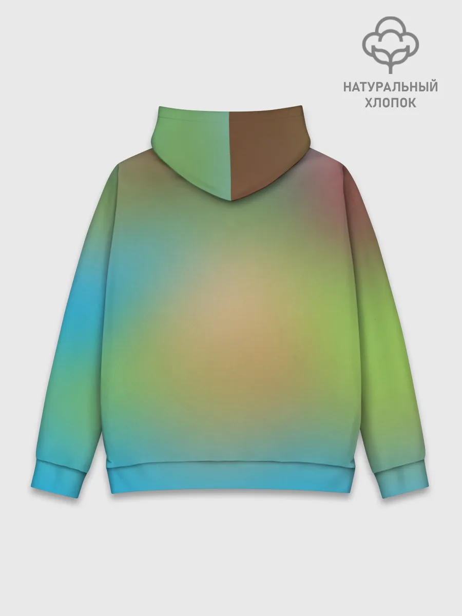 Худи мужской база хлопок / Псайдак