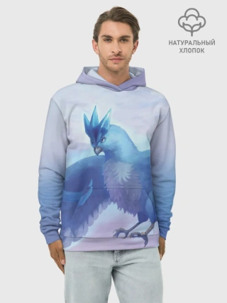 Худи мужской база хлопок / Мистик