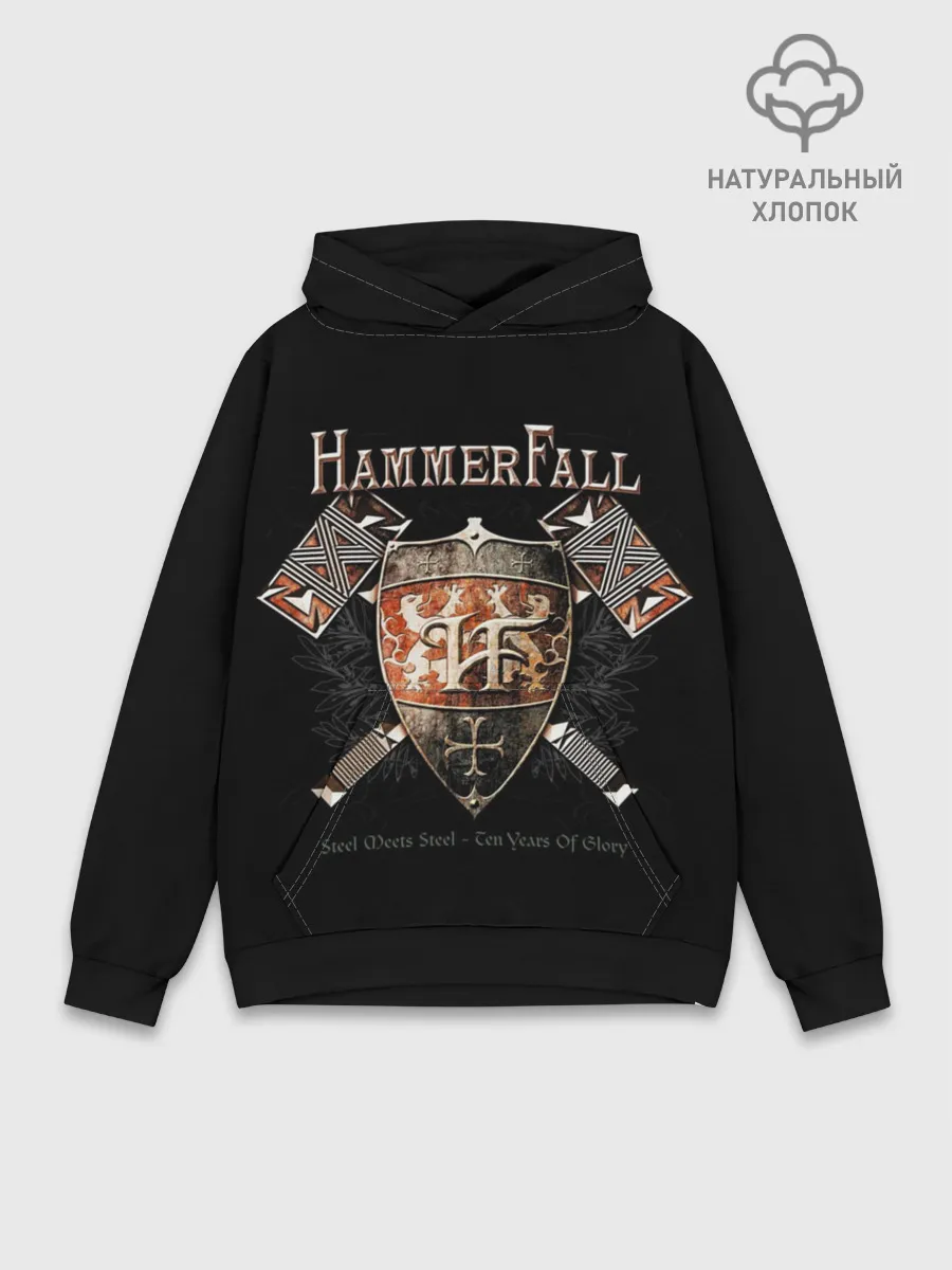 Худи мужской база хлопок / HammerFall