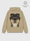 Худи мужской база хлопок / Sheltie