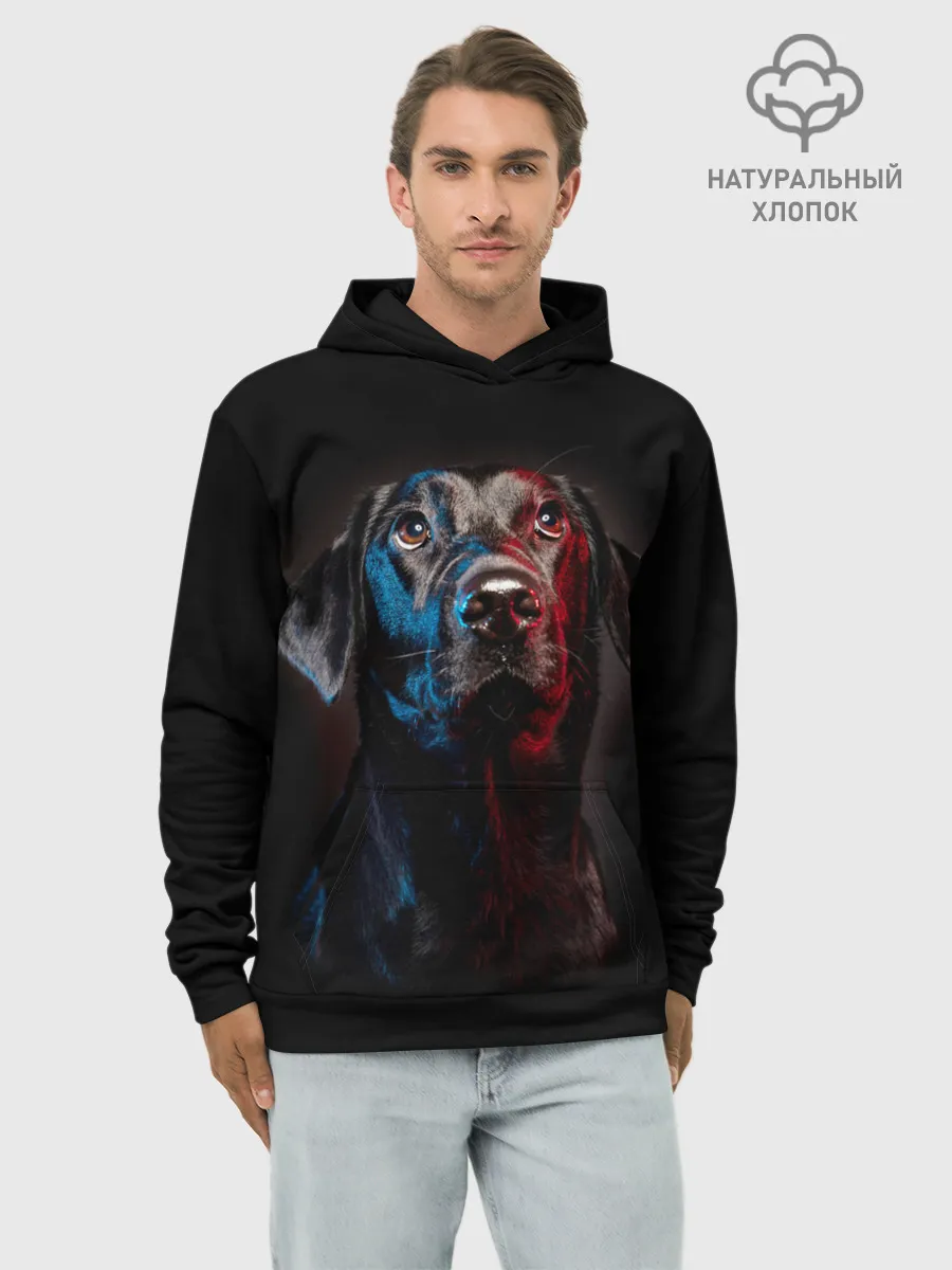 Худи мужской база хлопок / Чёрный лабрадор