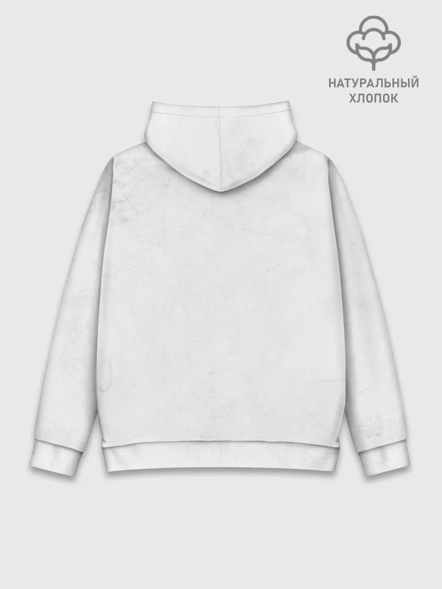 Худи мужской база хлопок / Moon Pink Floyd