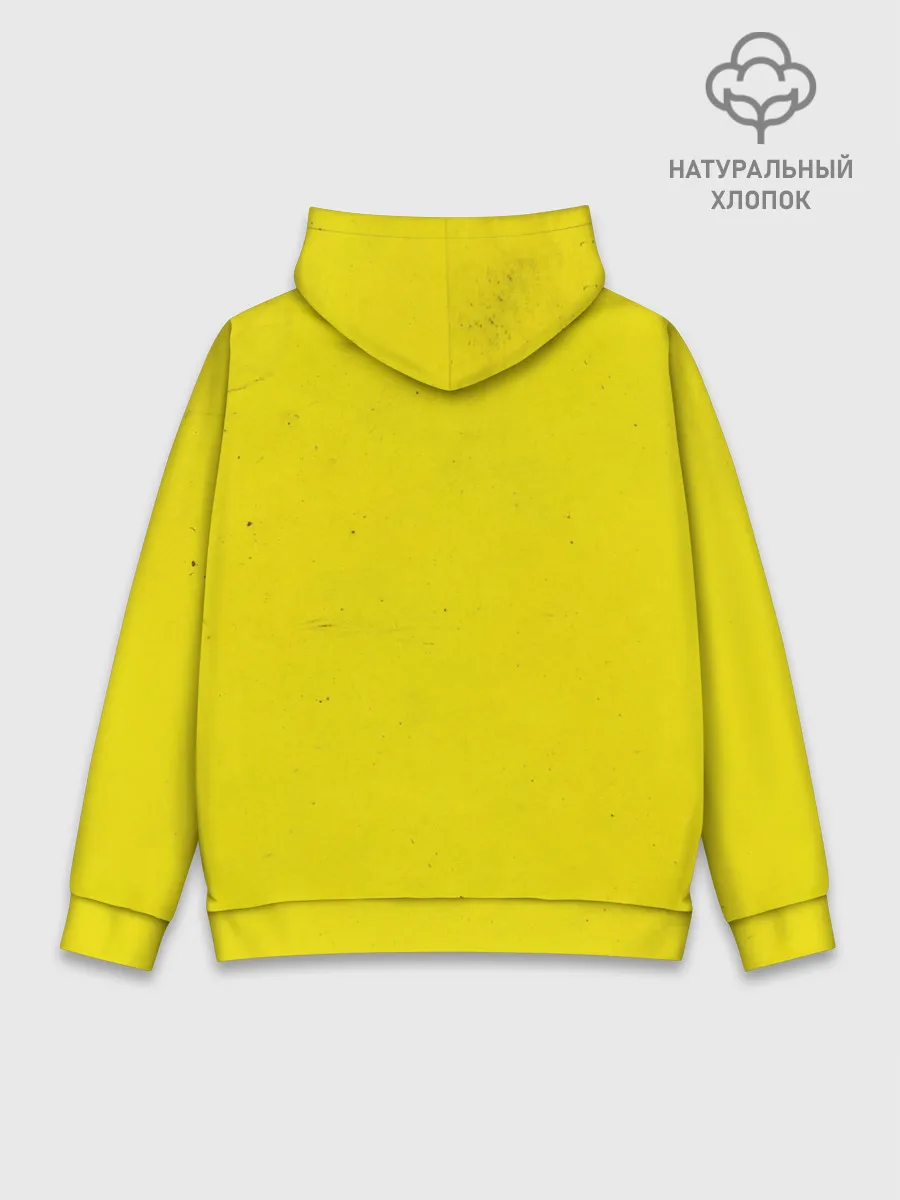 Худи мужской база хлопок / TWENTY ONE PILOTS