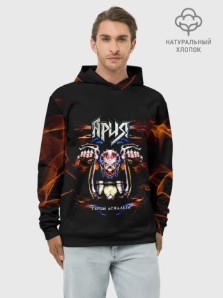 Худи мужской база хлопок / Ария