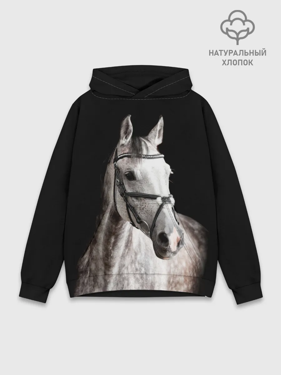 Худи мужской база хлопок / Серный в яблоках конь