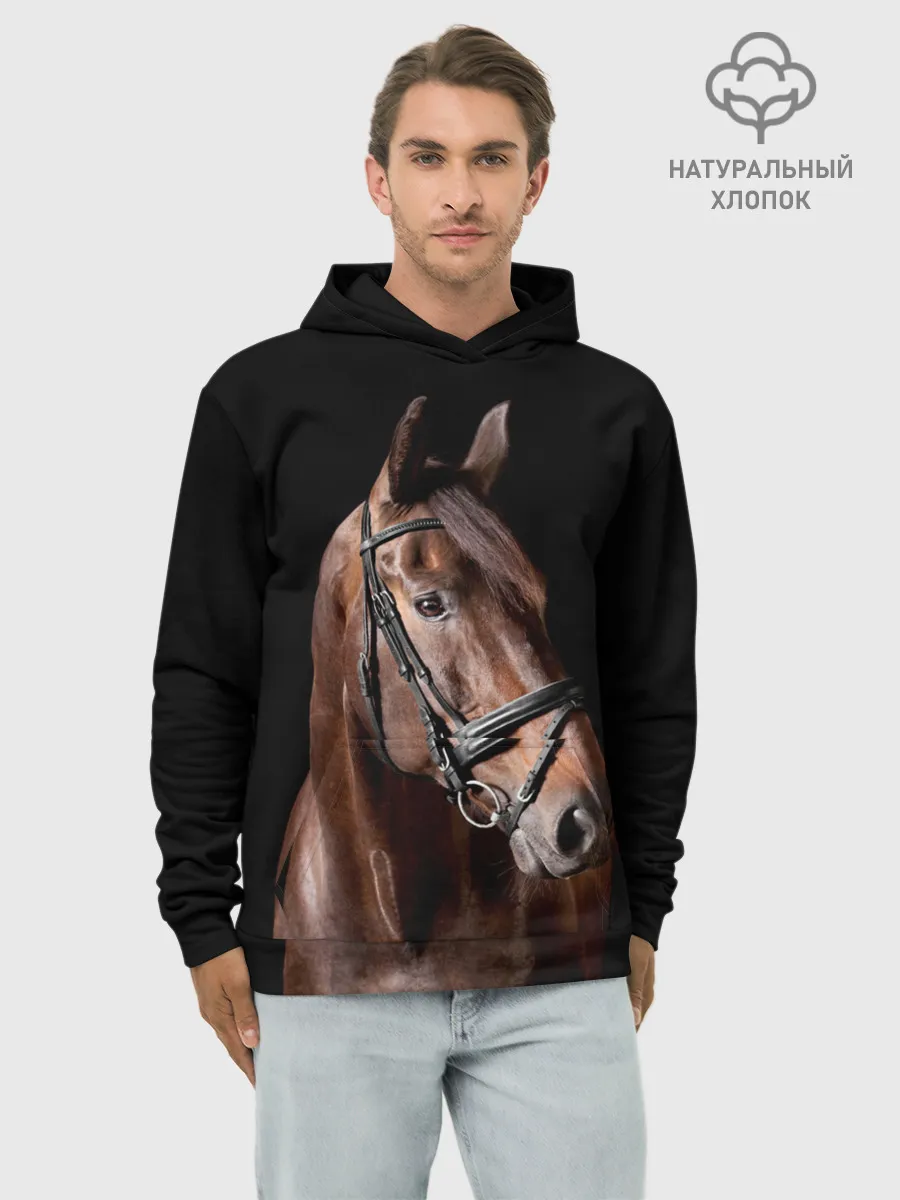 Худи мужской база хлопок / Гнедая лошадь