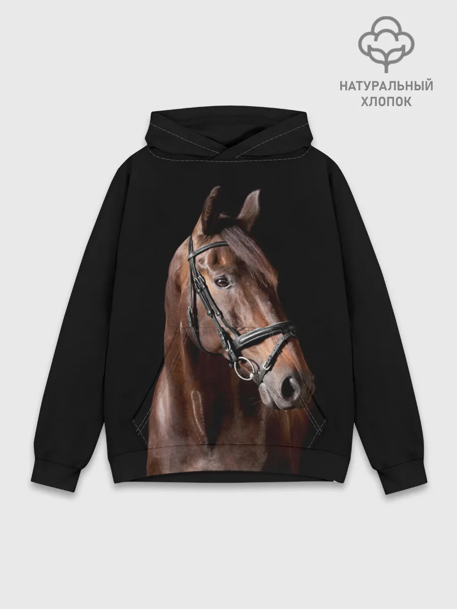 Худи мужской база хлопок / Гнедая лошадь