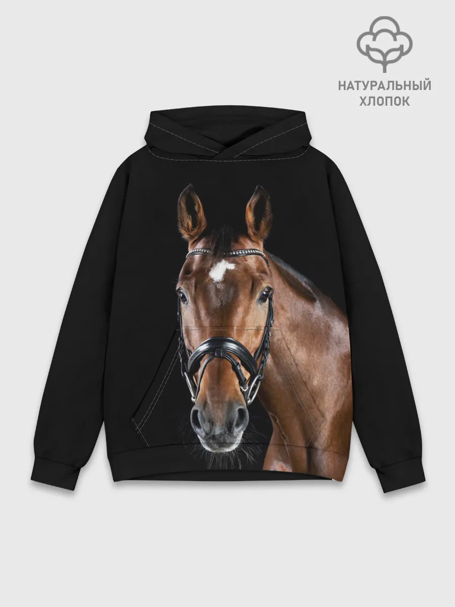 Худи мужской база хлопок / Гнедая лошадь