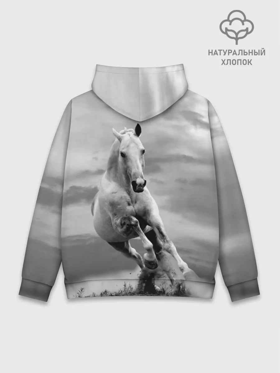 Худи мужской база хлопок / Белая лошадь