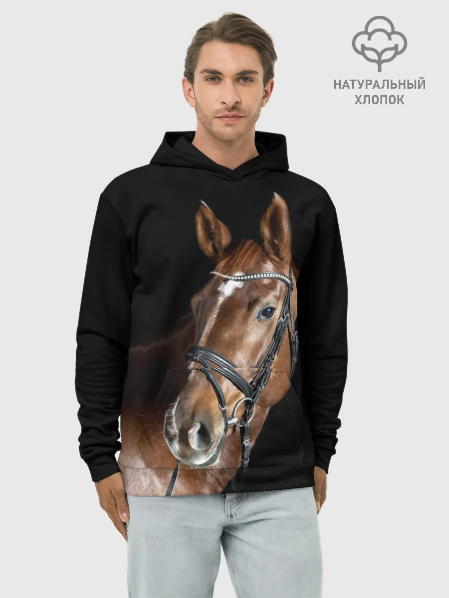 Худи мужской база хлопок / Гнедая лошадь