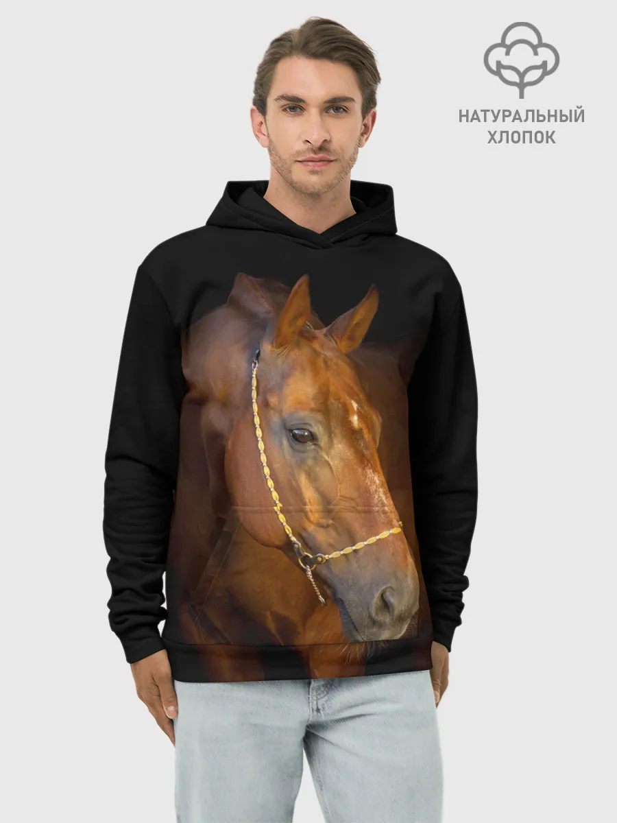 Худи мужской база хлопок / Гнедая лошадь