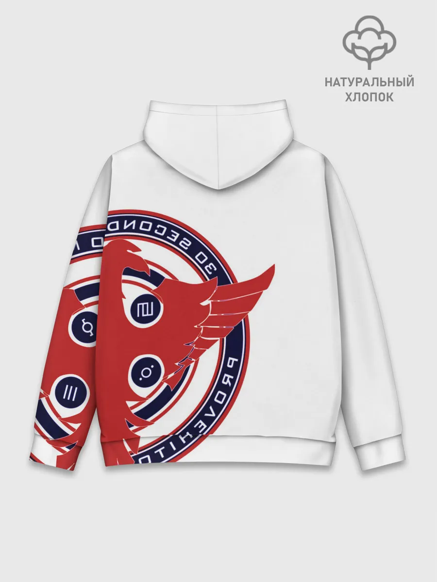 Худи мужской база хлопок / 30 Seconds to Mars