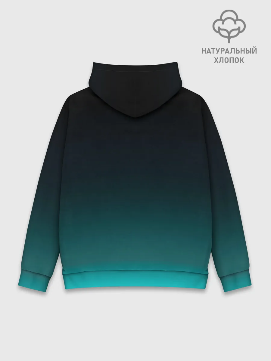 Худи мужской база хлопок / Disturbed. Evolution