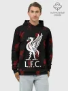 Худи мужской база хлопок / Liverpool