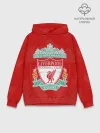 Худи мужской база хлопок / Liverpool