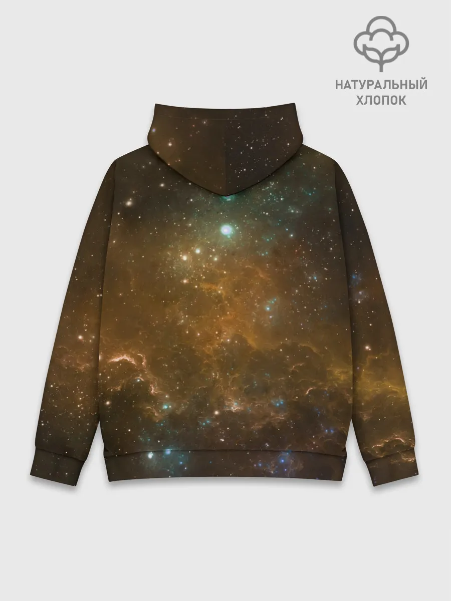 Худи мужской база хлопок / Night Fury