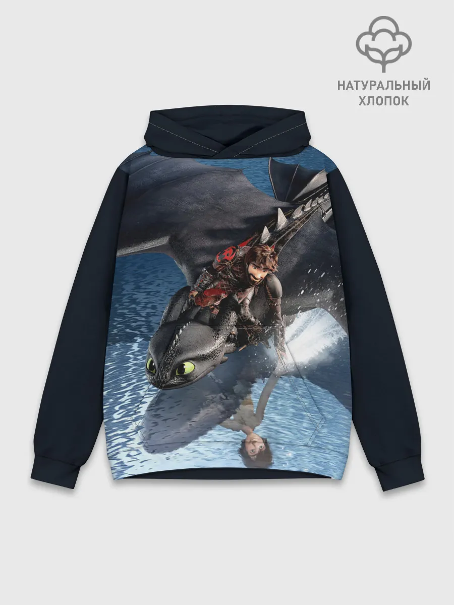 Худи мужской база хлопок / ночная фурия