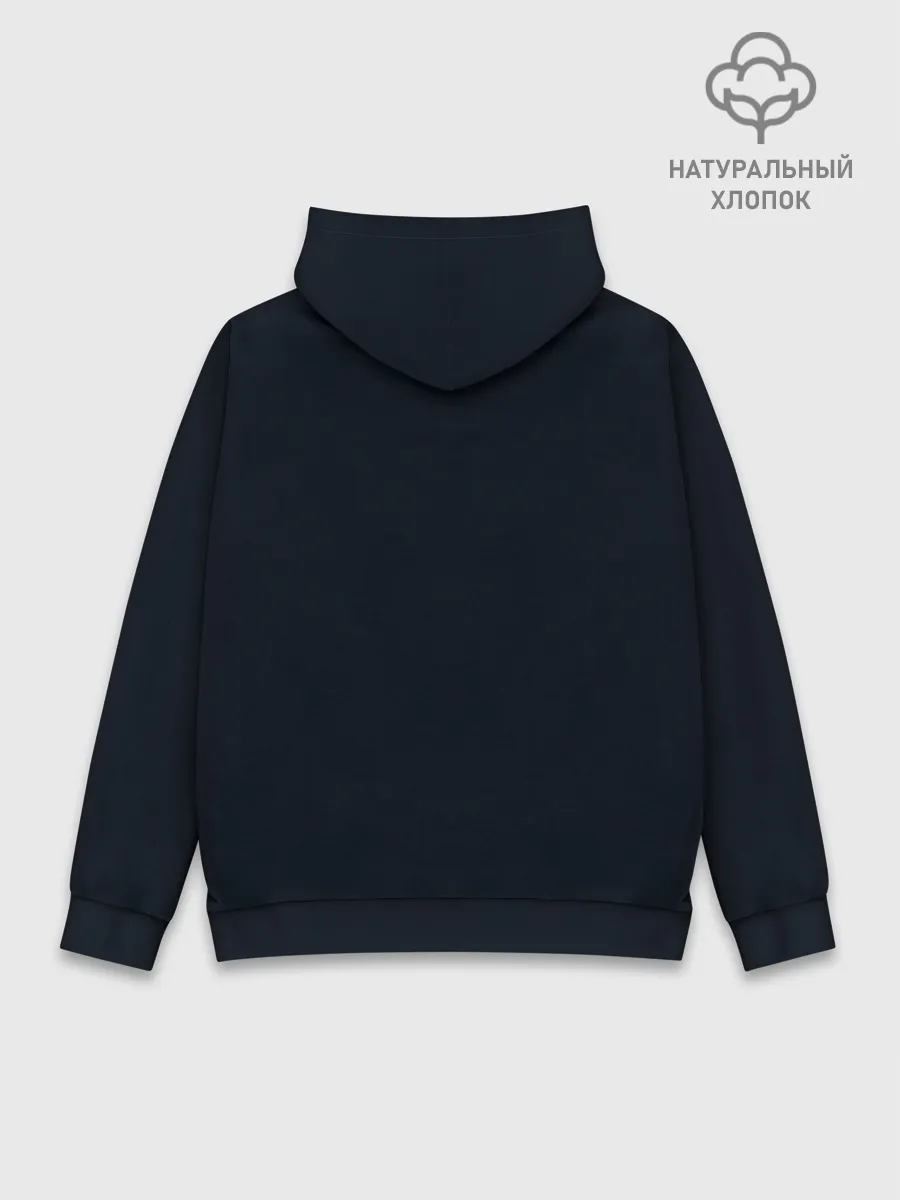 Худи мужской база хлопок / ночная фурия