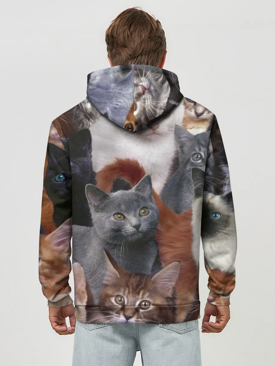 Худи мужской база хлопок / Много котов