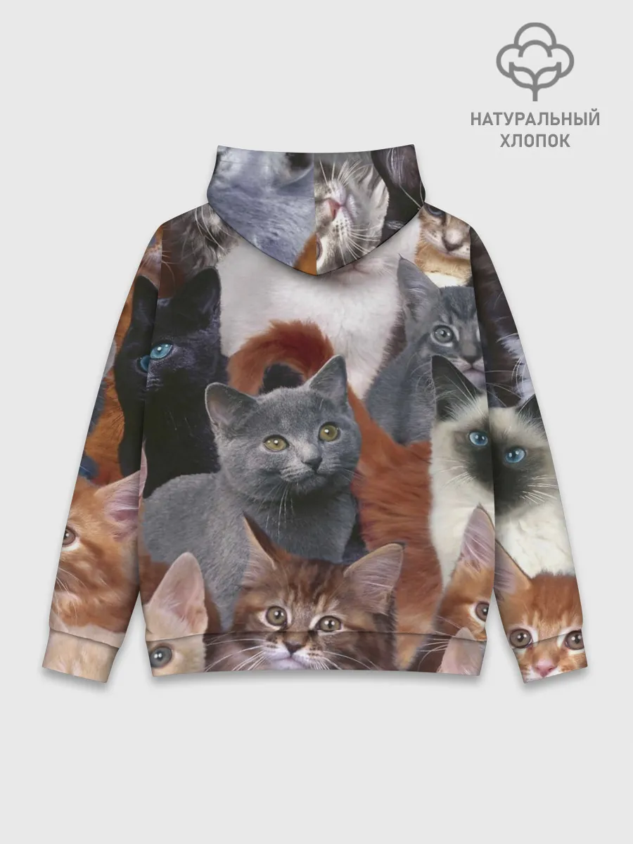 Худи мужской база хлопок / Много котов