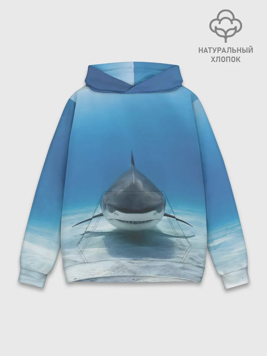 Худи мужской база хлопок / Анфас